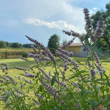 ヴィラ Villavoru, Sauna, Garden, Barbecue, Playhouse And Air Conditioning